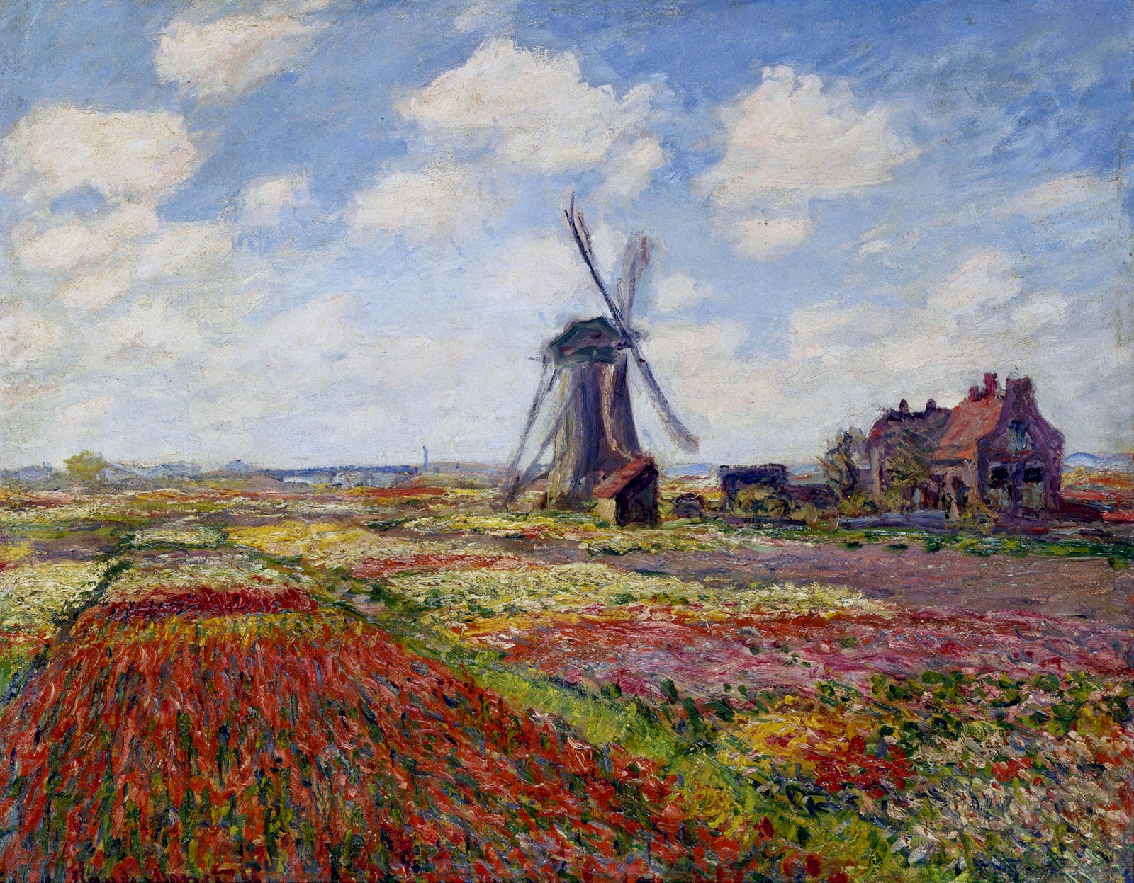 fields-of-tulip-with-the-rijnsburg-windmill