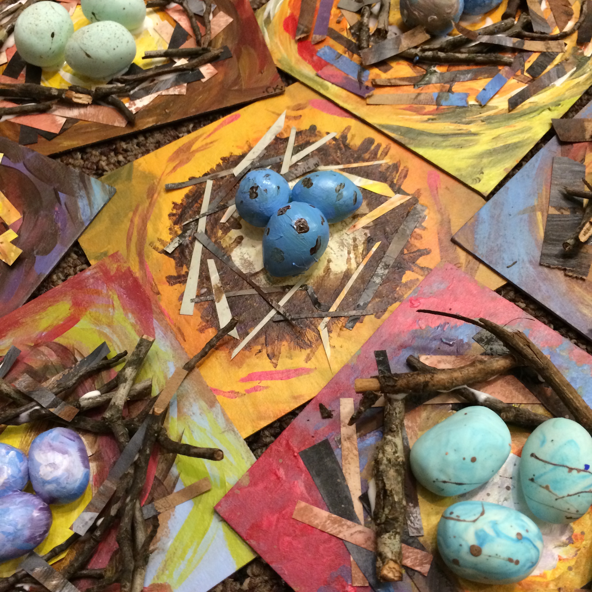 Bird Nests