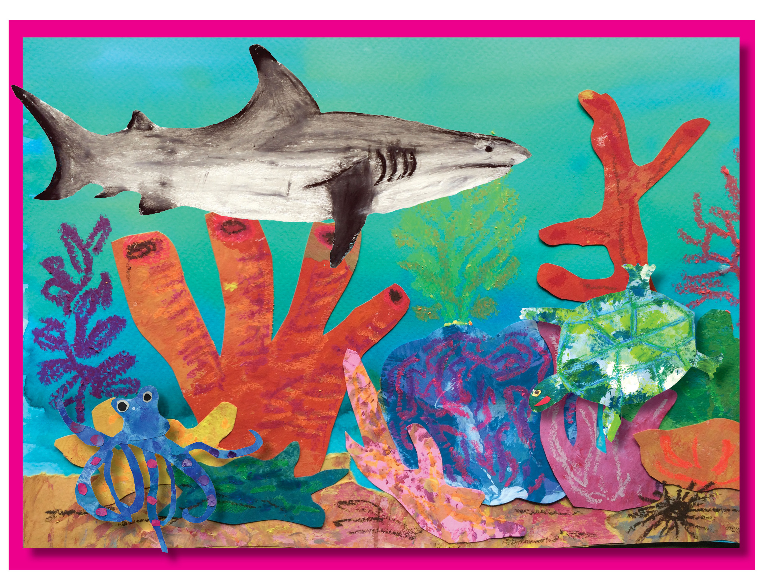 Habitats: Life in the Coral Reef