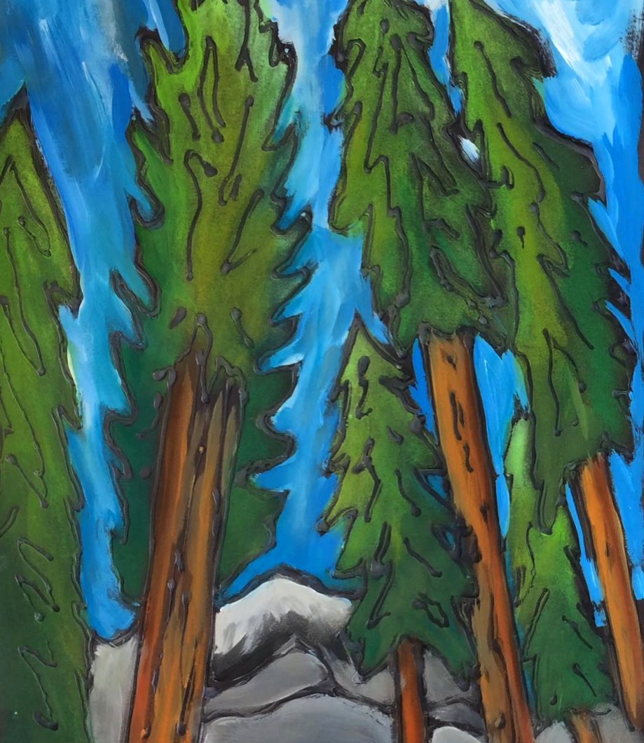 Evergreen Trees