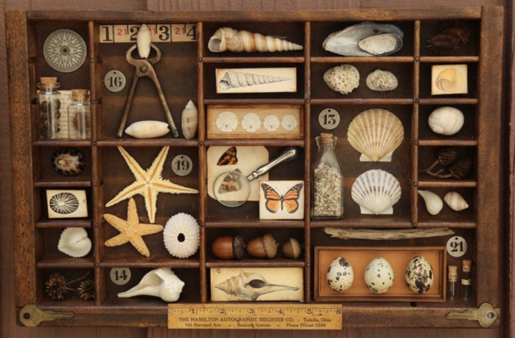 Cabinet of Curiosities