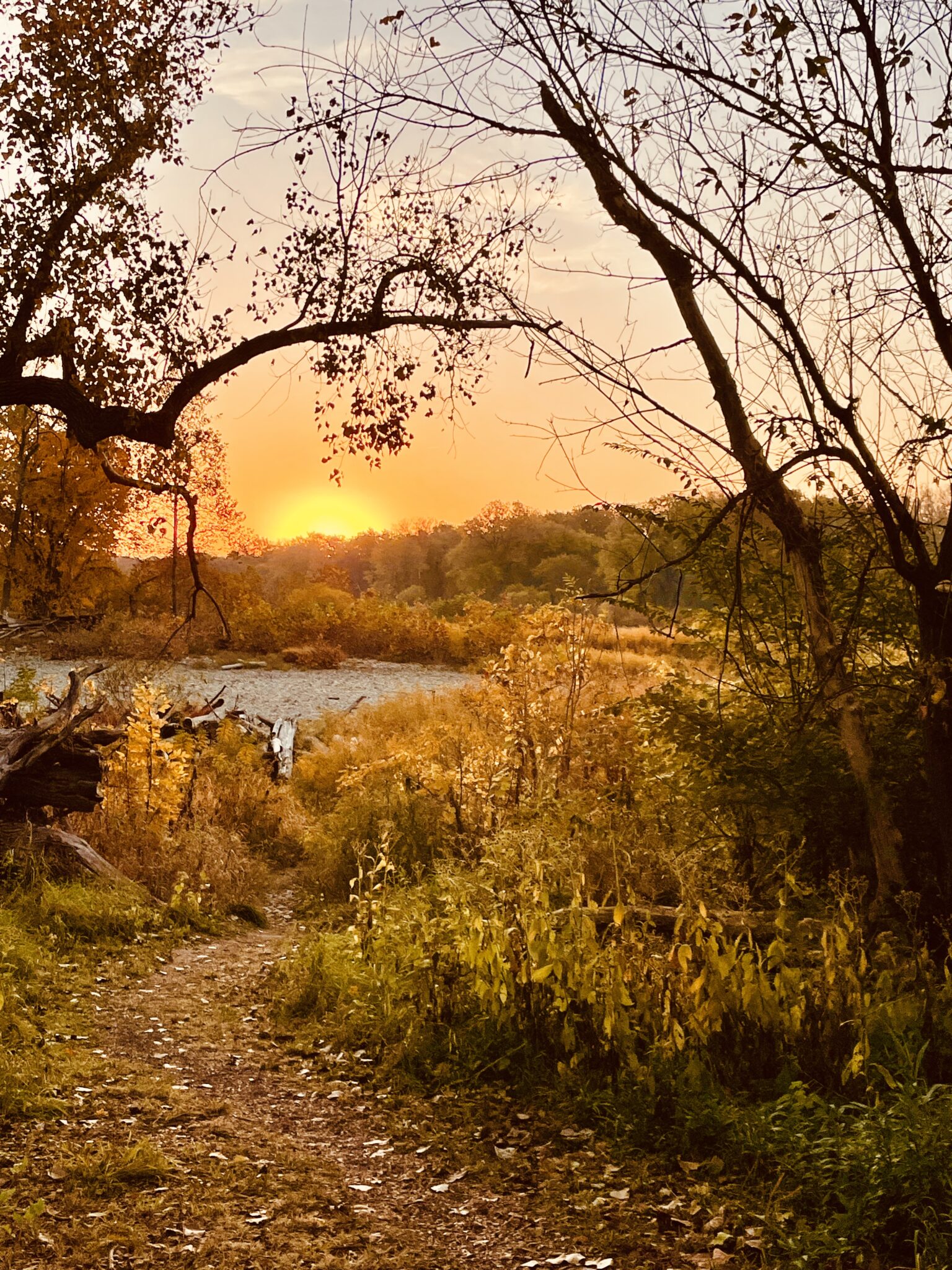 The Art of Autumn – Painted Paper Art