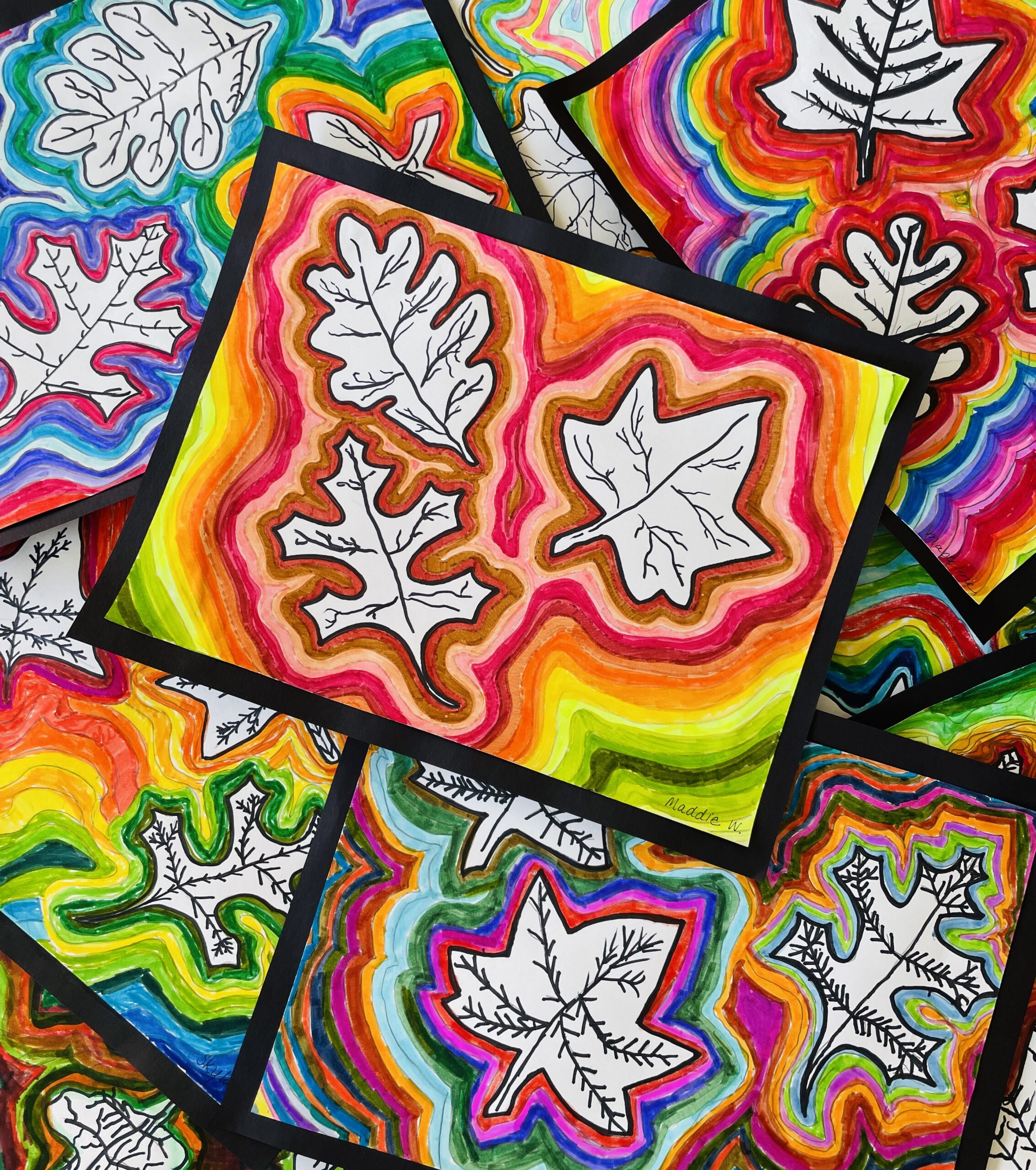 Leaves with Radiating Lines